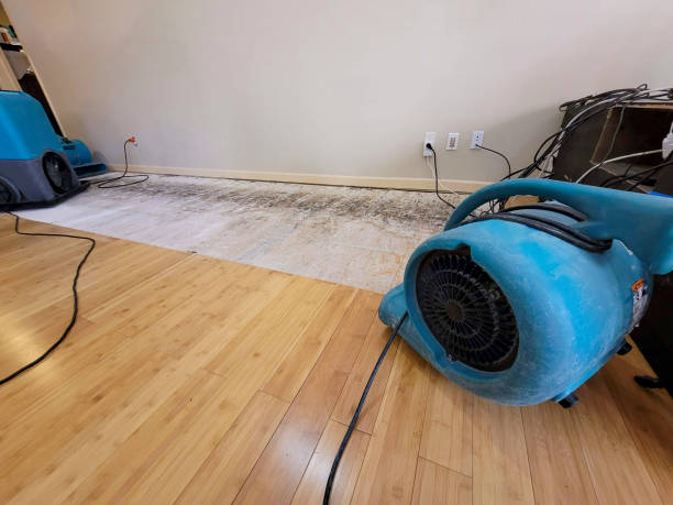 Professional Structural Drying technician working in Victor, ID